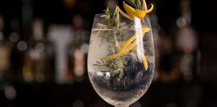 luxury-gin-tonic-3-2